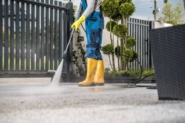 Best Residential Pressure Washing Services  in Litchfield, MN